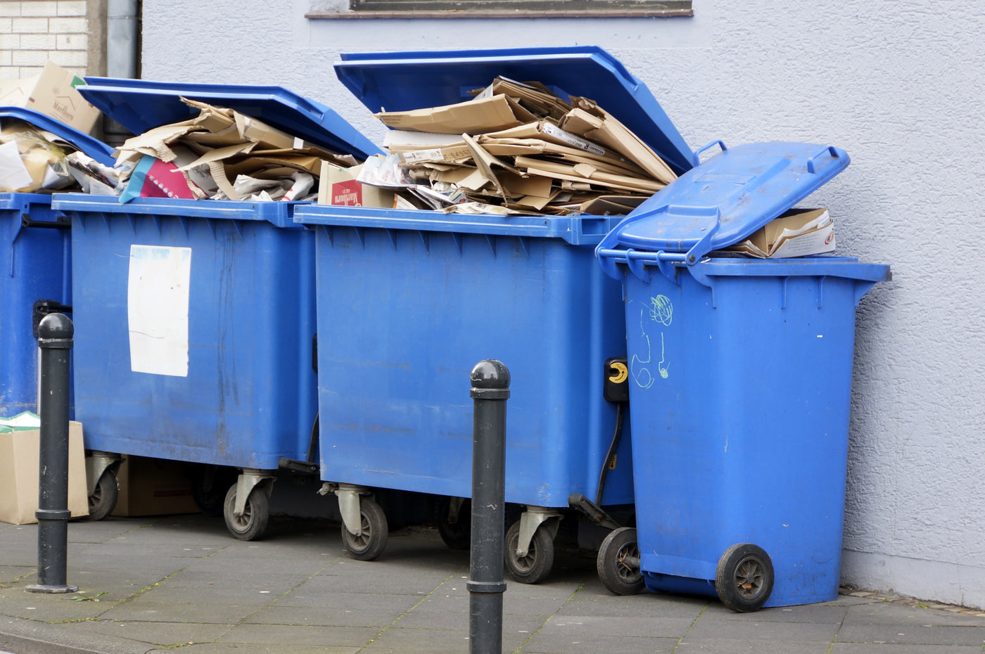 Die blaue Tonne