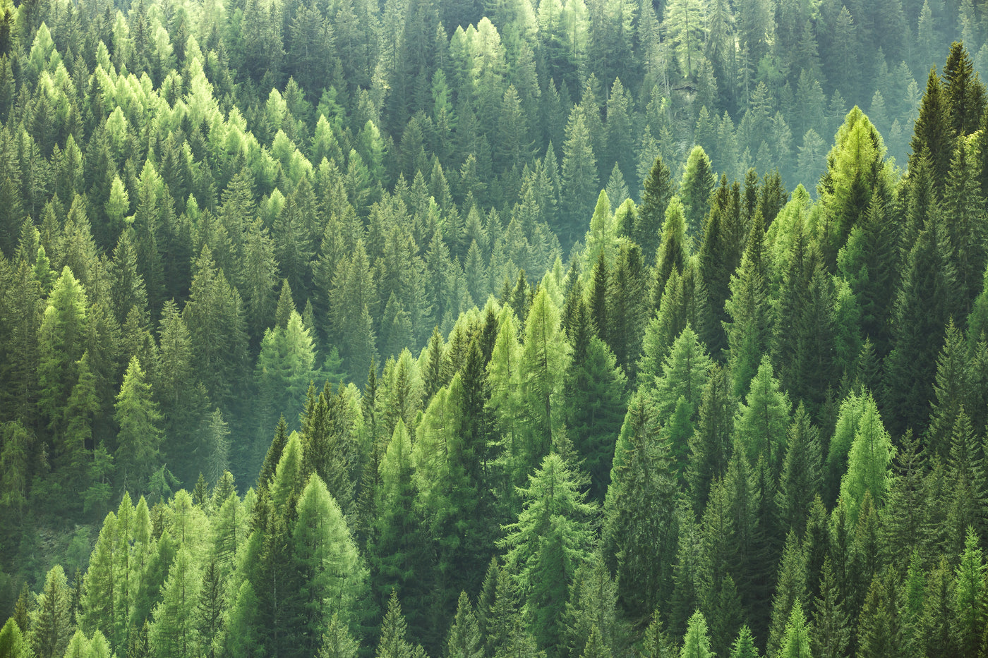 Brands for the Planet